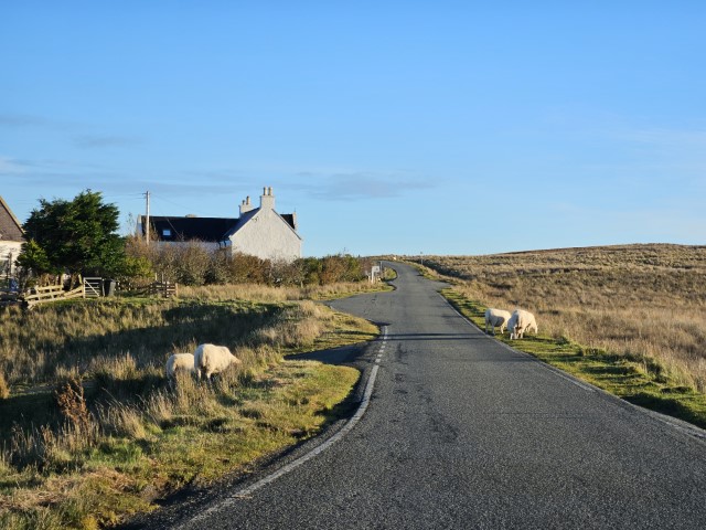 20231023_093013.jpg